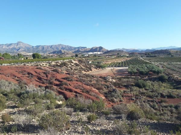 Terreno en Partida Sol del Camp, Agost photo 4