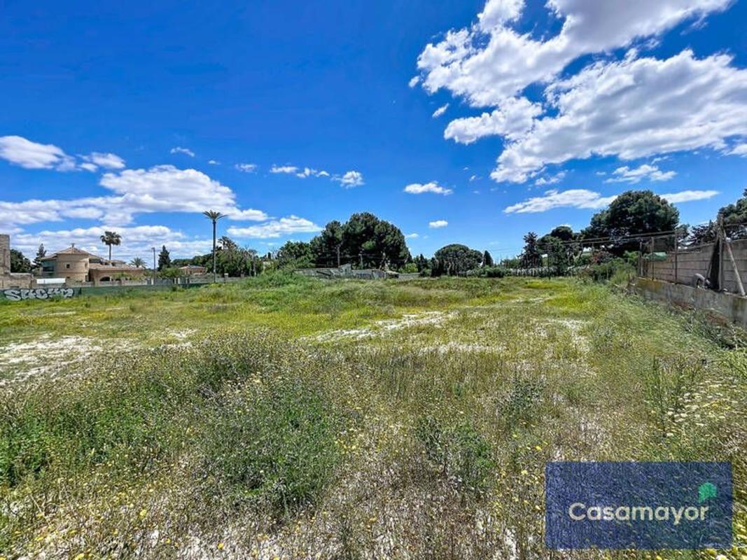 Terreno en venta en Alicante / Alacant, Alicante photo 4