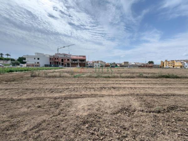 Terreno en Catral photo 1