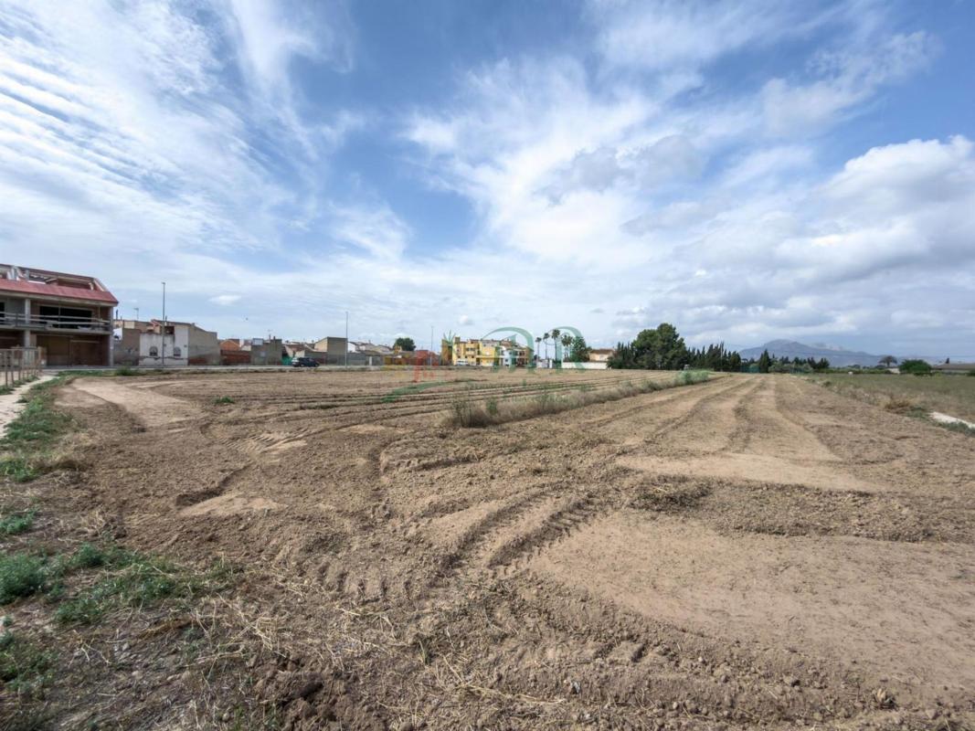 Участок земли на продажу в Катрал, Аликанте photo 4