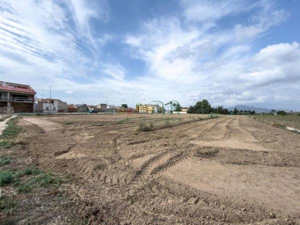 Terreno en Catral photo 4
