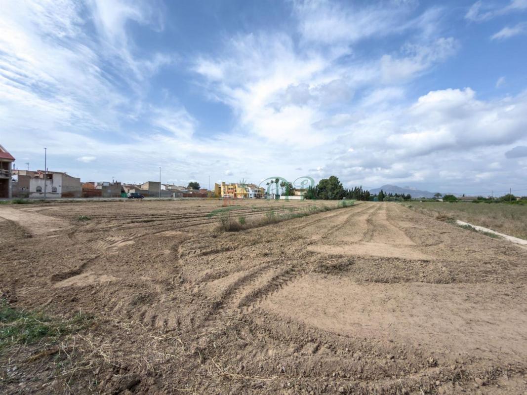 Участок земли на продажу в Катрал, Аликанте photo 5