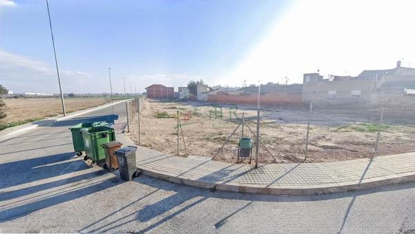 Terreno en Catral photo 2