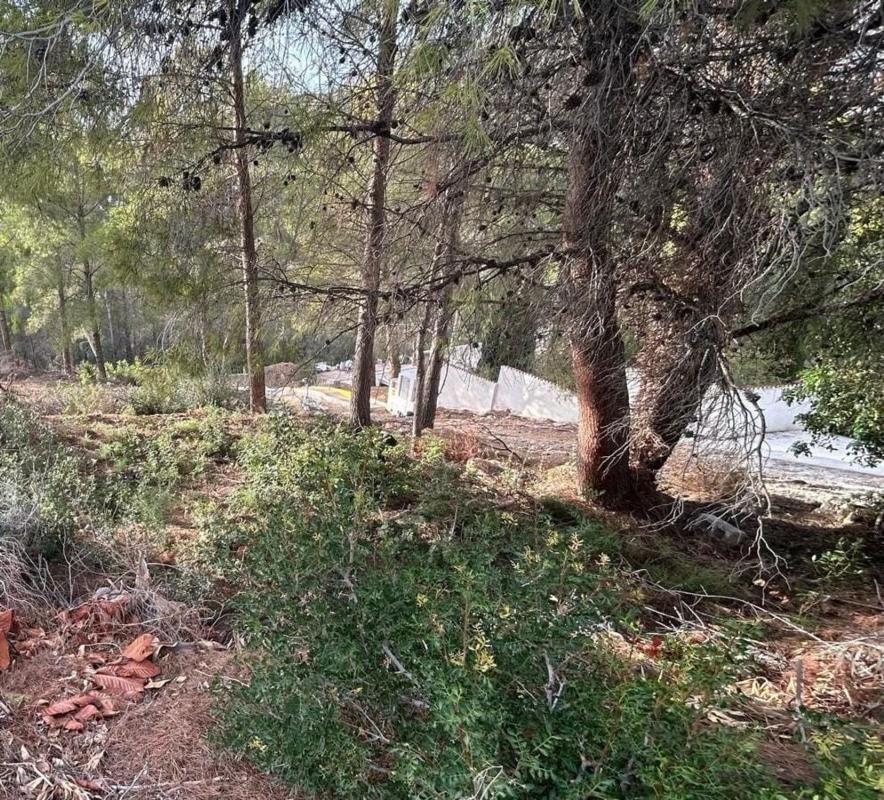 Terreno en venta en Altea, Alicante photo 2