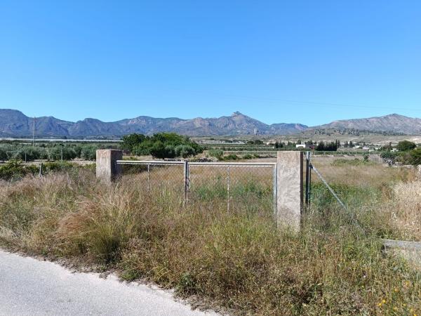 Terreno en Agost photo 1