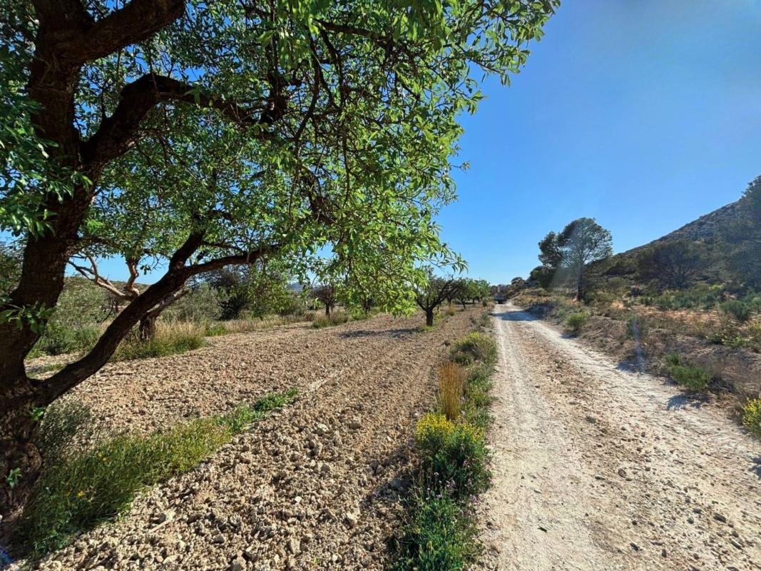 Land for sale in Moralet, Alicante photo 2