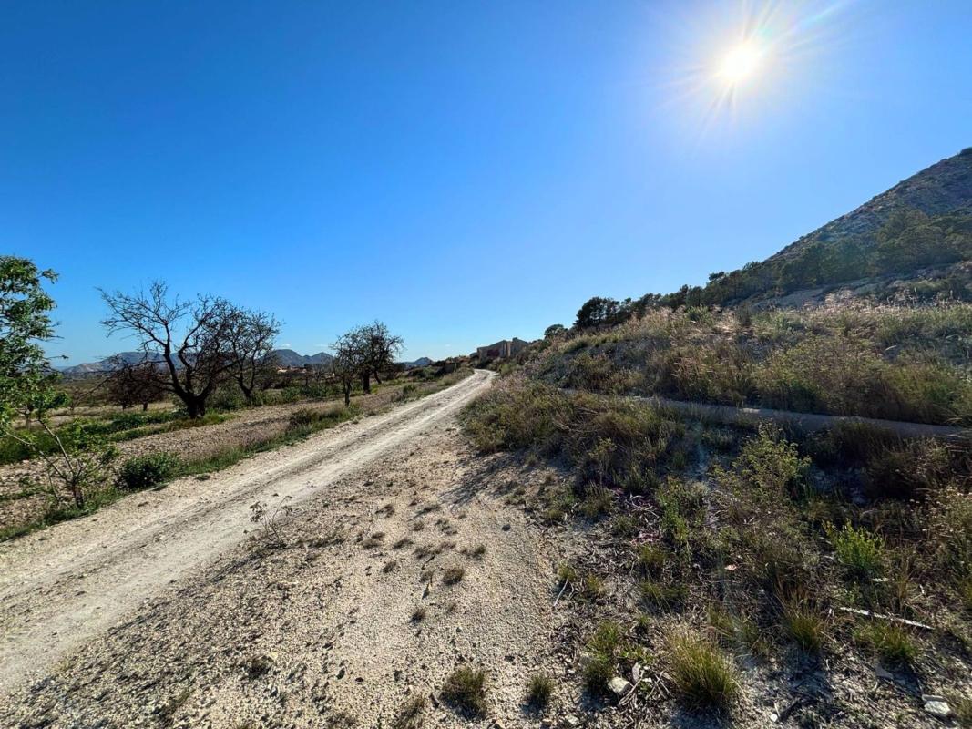 Land for sale in Moralet, Alicante photo 3
