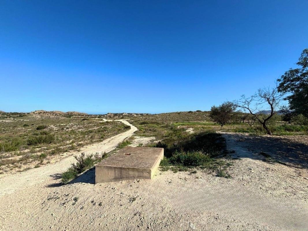 Land for sale in Moralet, Alicante photo 5