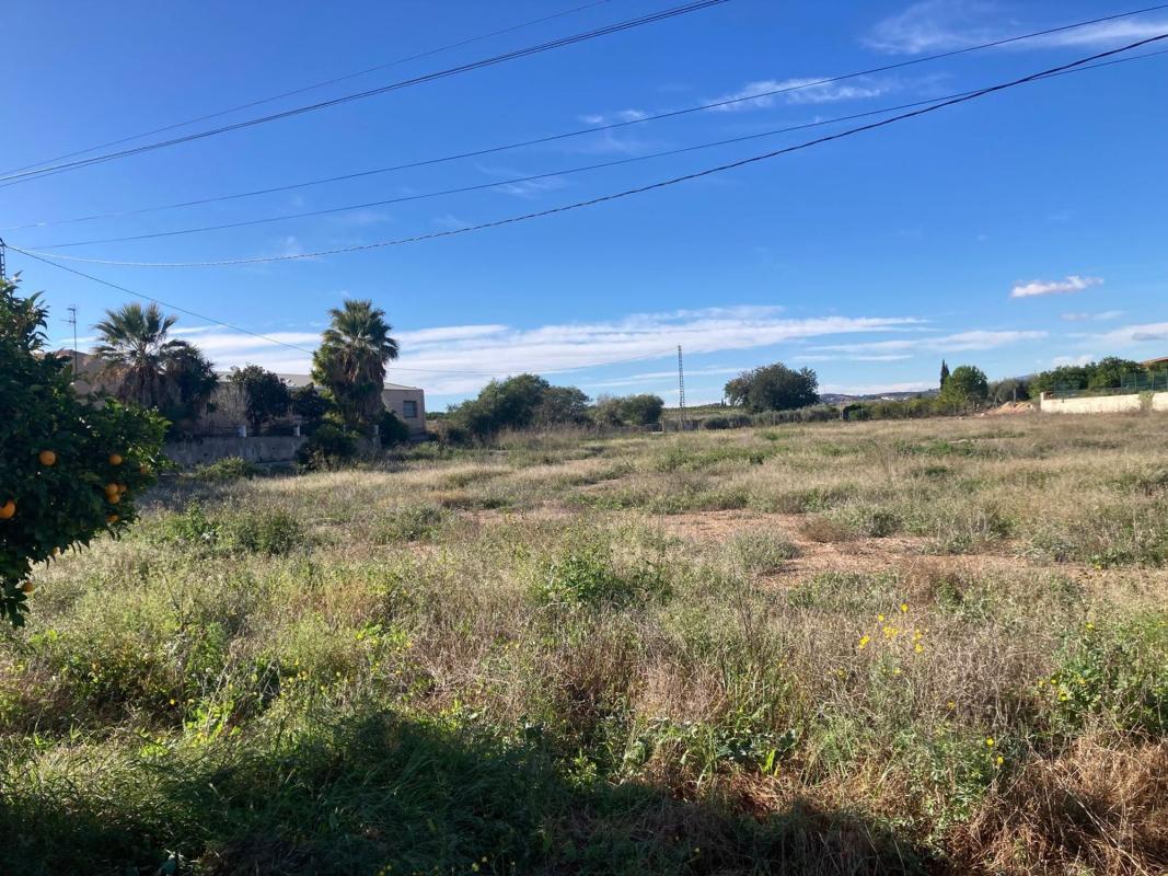 Terreno en venta en Orihuela, Alicante photo 3