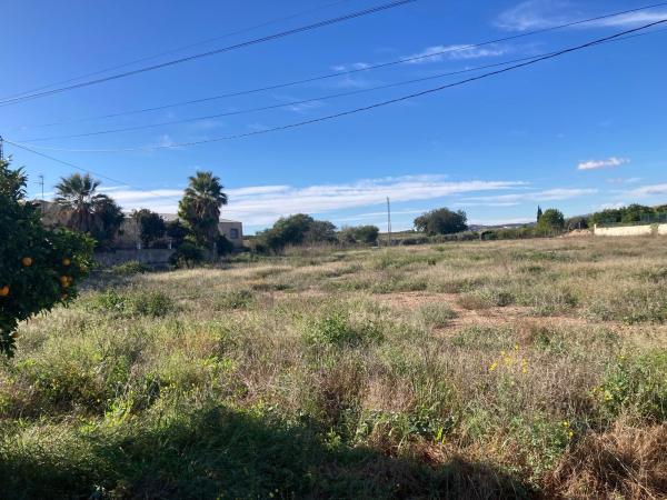 Terreno en La Matanza - Moronio s/n, Montepinar-La Aparecida-Raiguero, Orihuela thumbnail 2