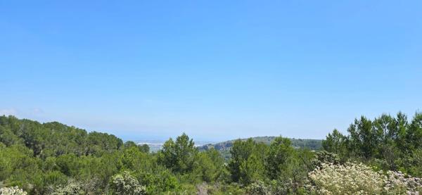 Terreno en Benidoleig photo 1