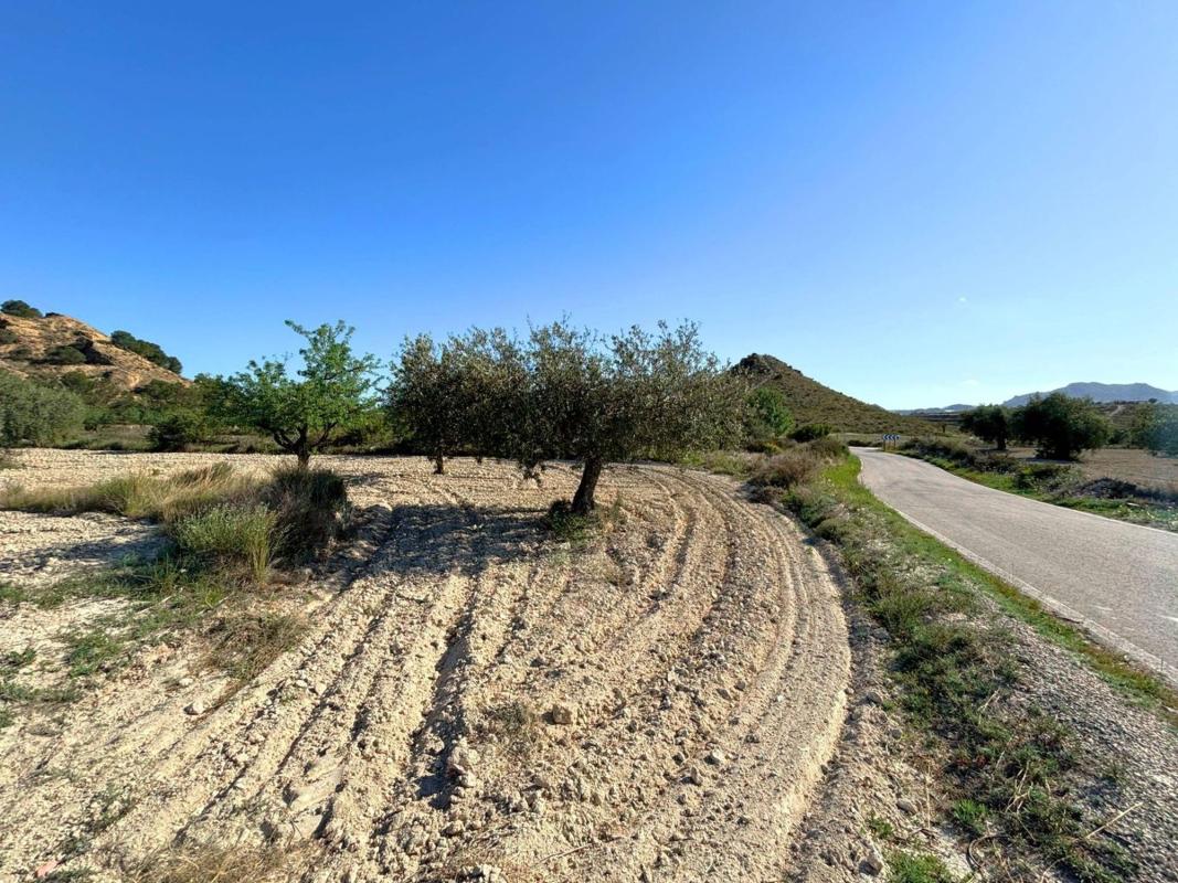 Terreno en venta en Moralet, Alicante photo 1