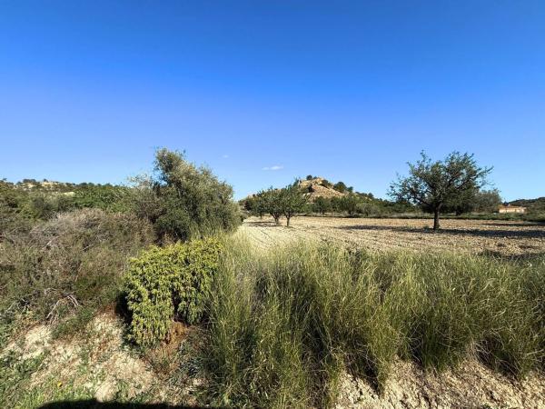 Terreno en Moralet photo 3