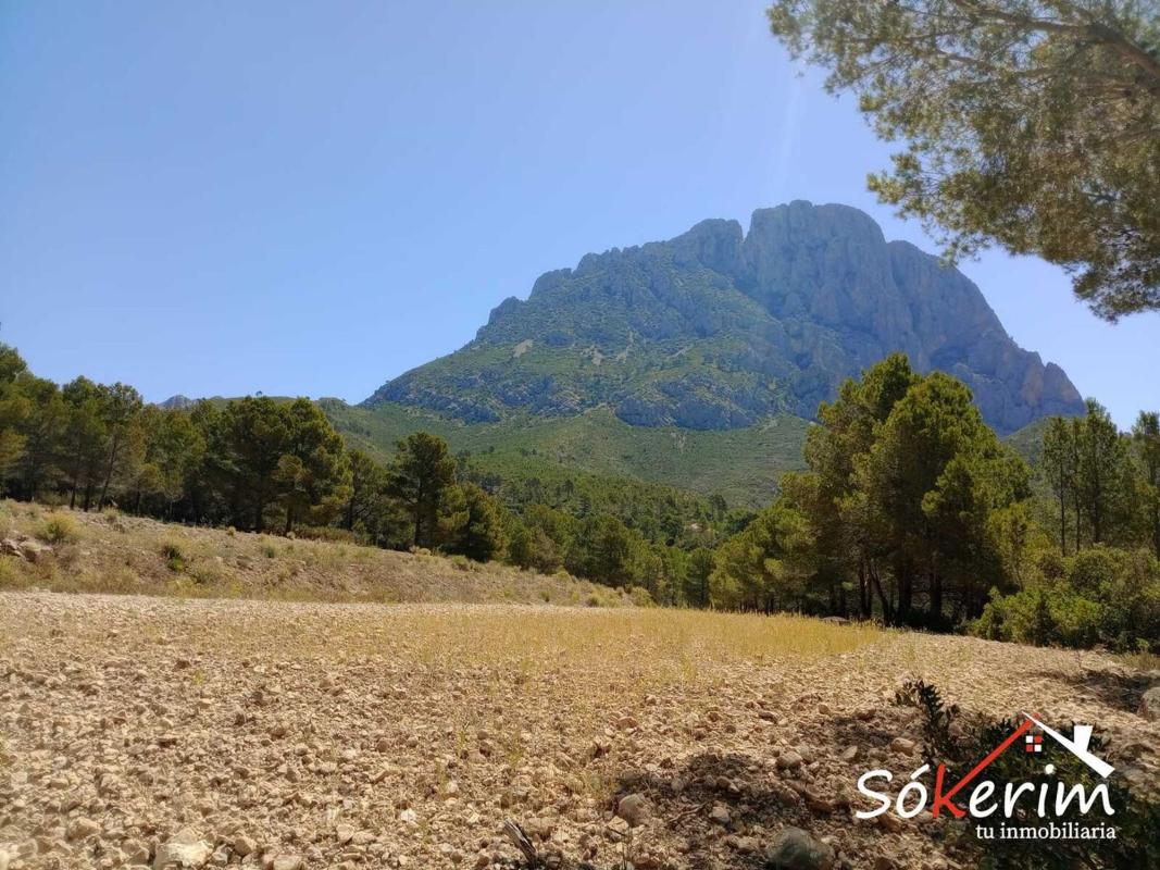 Terreno en venta en Finestrat, Alicante photo 3