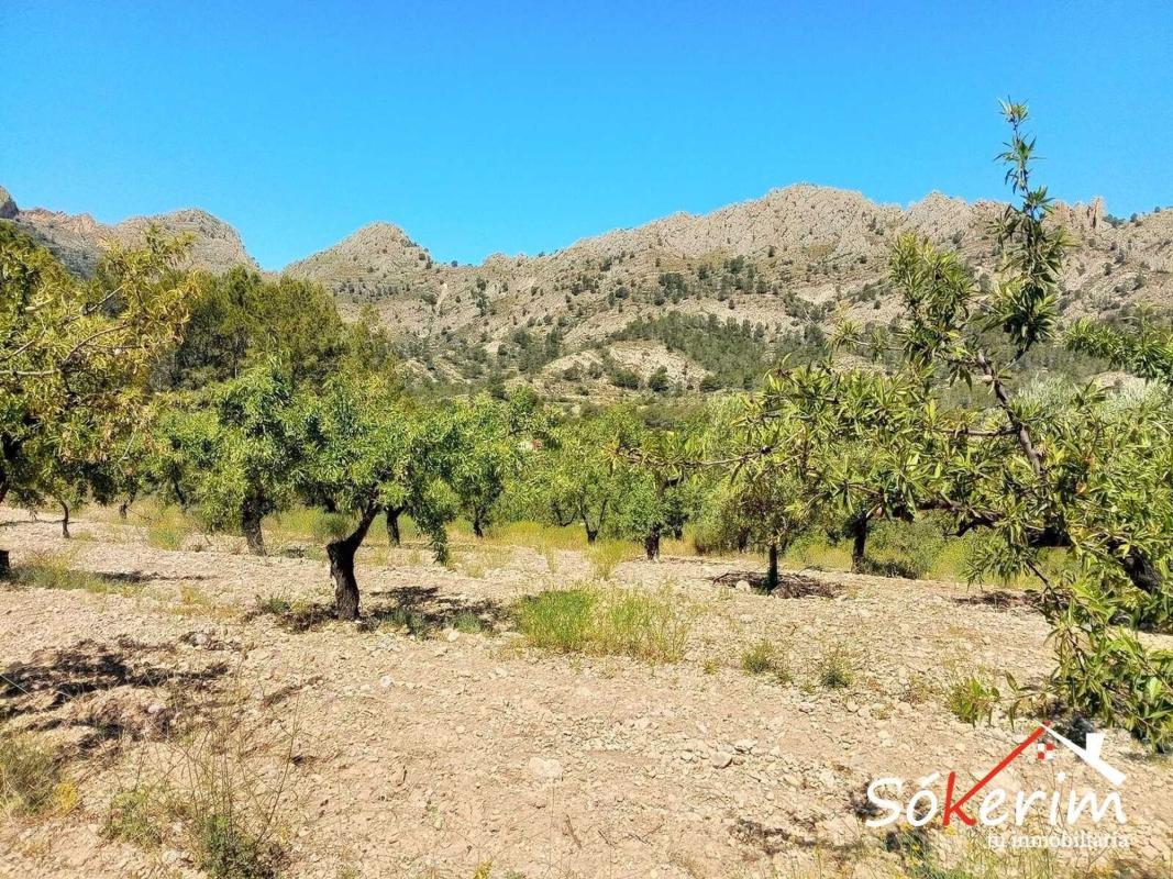Terreno en venta en Finestrat, Alicante photo 5