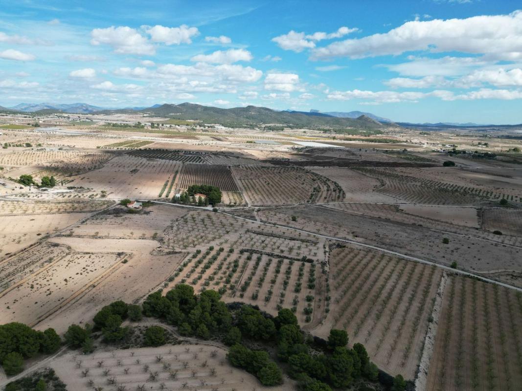 Terreno en venta en Pinoso, Alicante photo 4