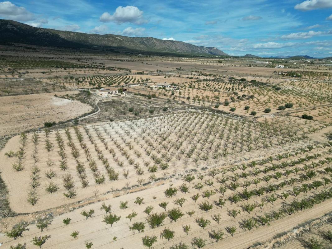 Terreno en venta en Pinoso, Alicante photo 2
