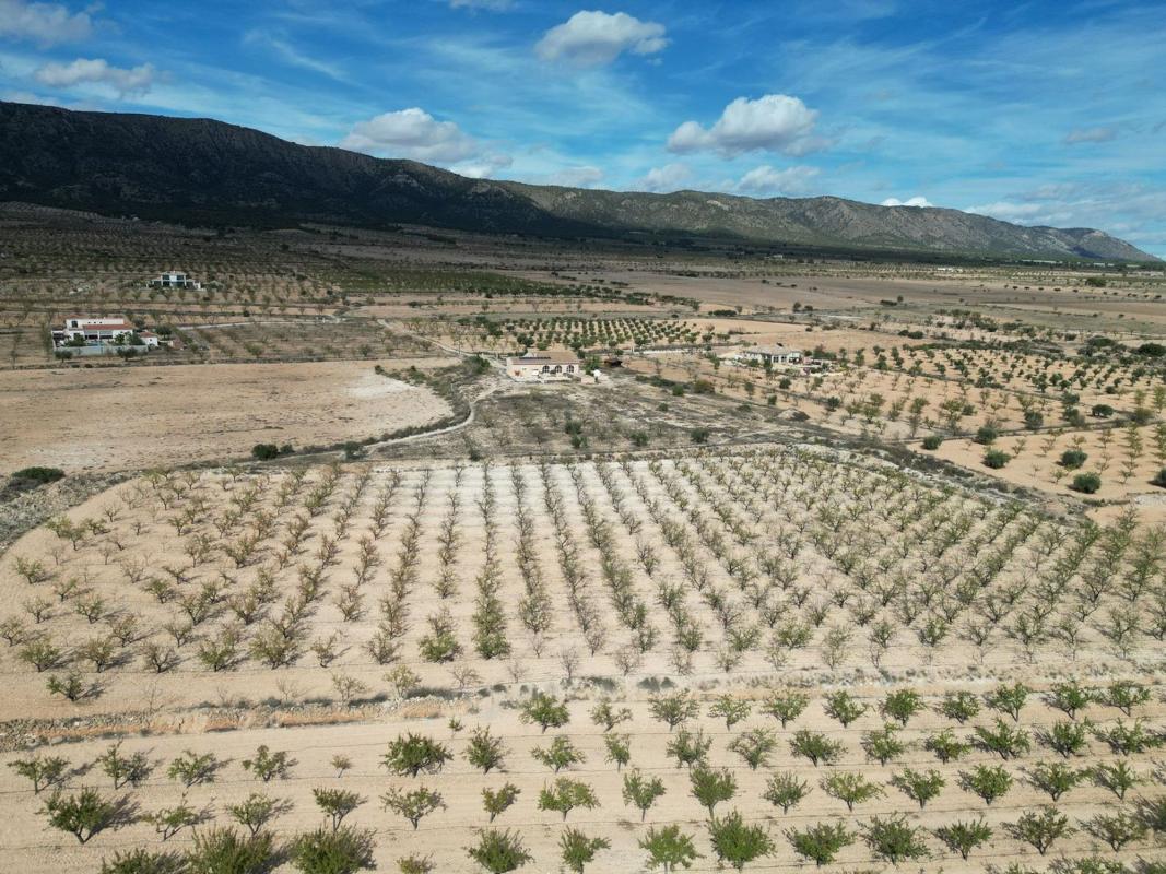 Terreno en venta en Pinoso, Alicante photo 3