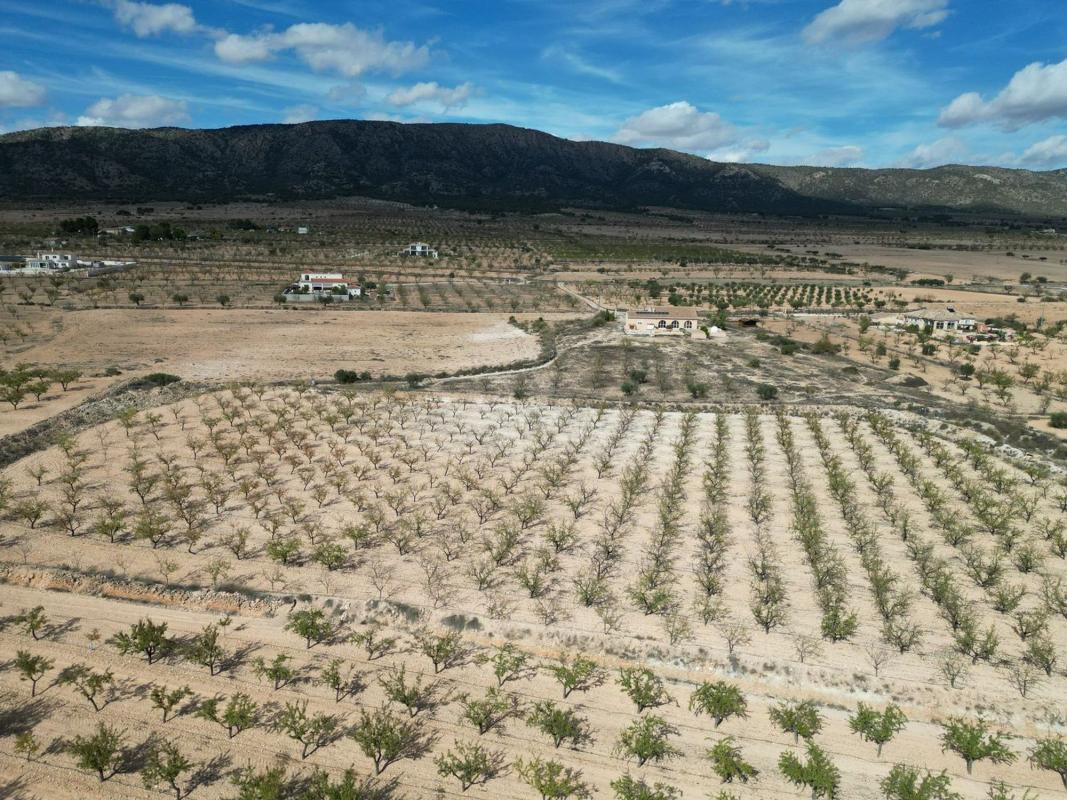 Terreno en venta en Pinoso, Alicante photo 4