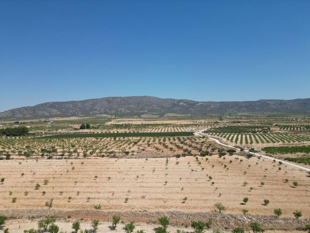 Terreno en venta en Pinoso, Alicante photo 1