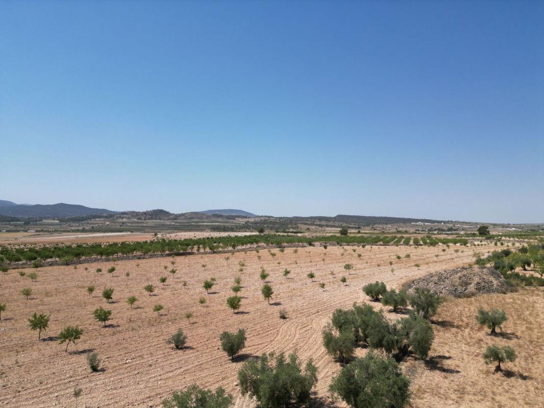 Terreno en venta en Pinoso, Alicante photo 2