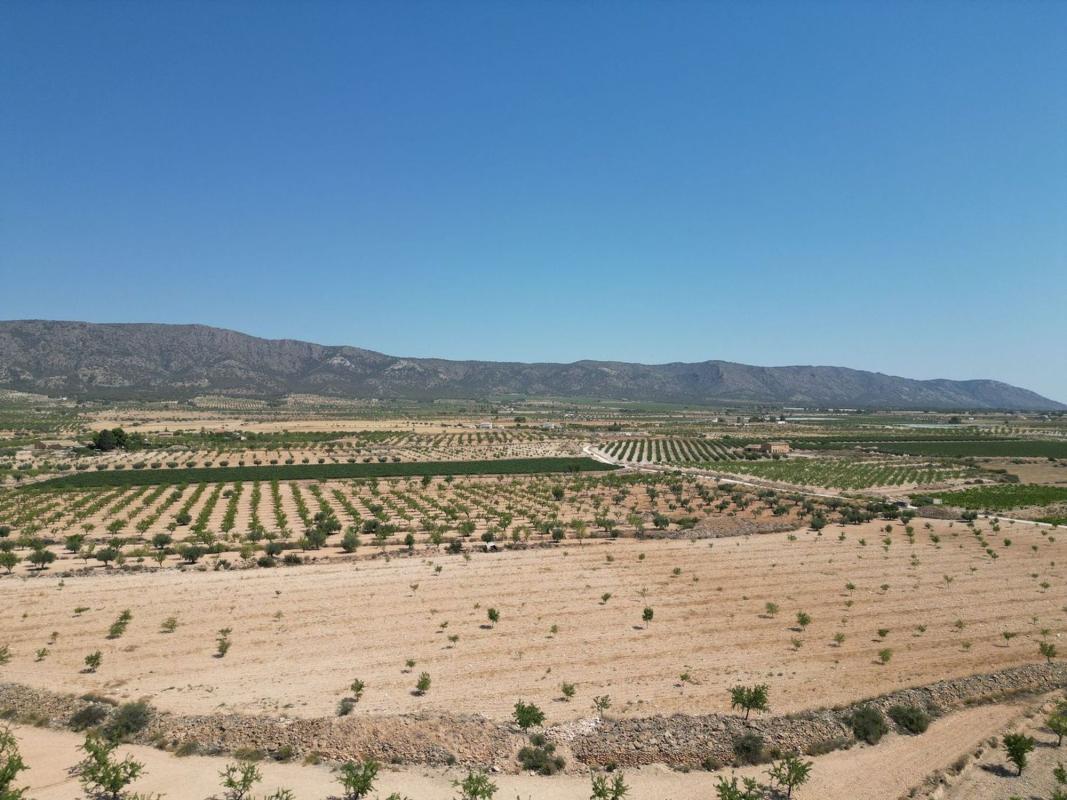 Terreno en venta en Pinoso, Alicante photo 5