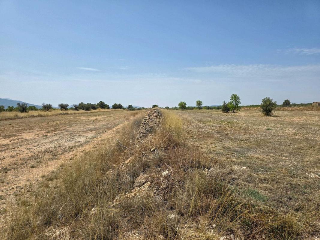 Terreno en venta en Pinoso, Alicante photo 2
