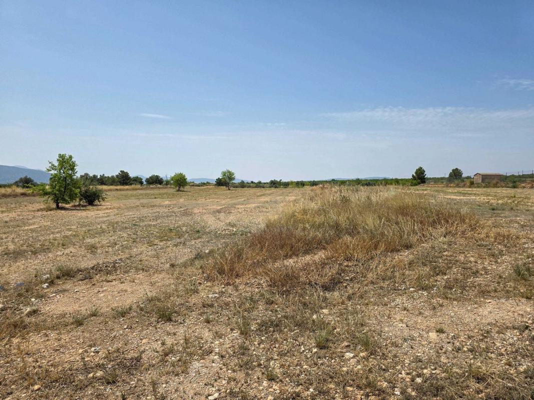 Terreno en venta en Pinoso, Alicante photo 3