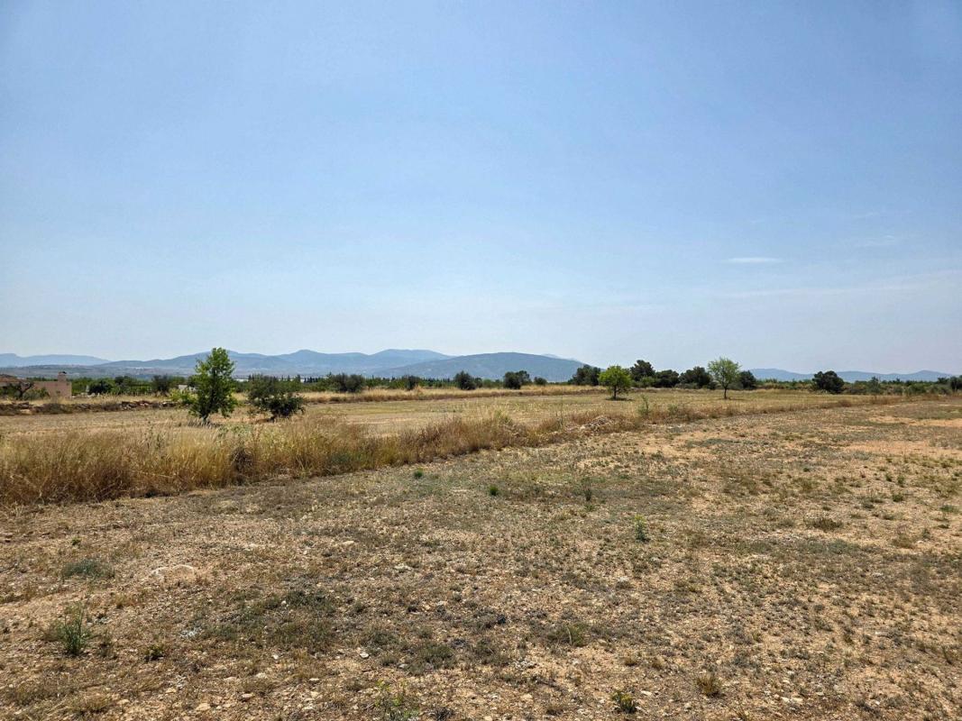 Terreno en venta en Pinoso, Alicante photo 5