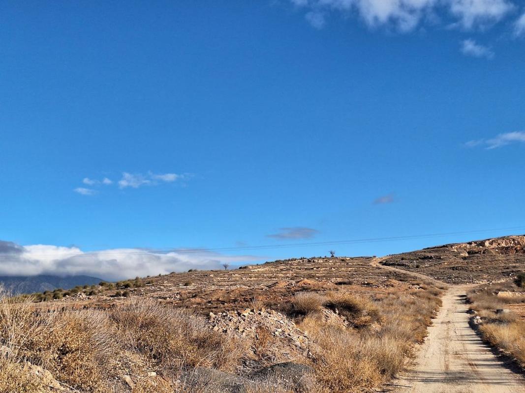 Terreno en venta en Pinoso, Alicante photo 4