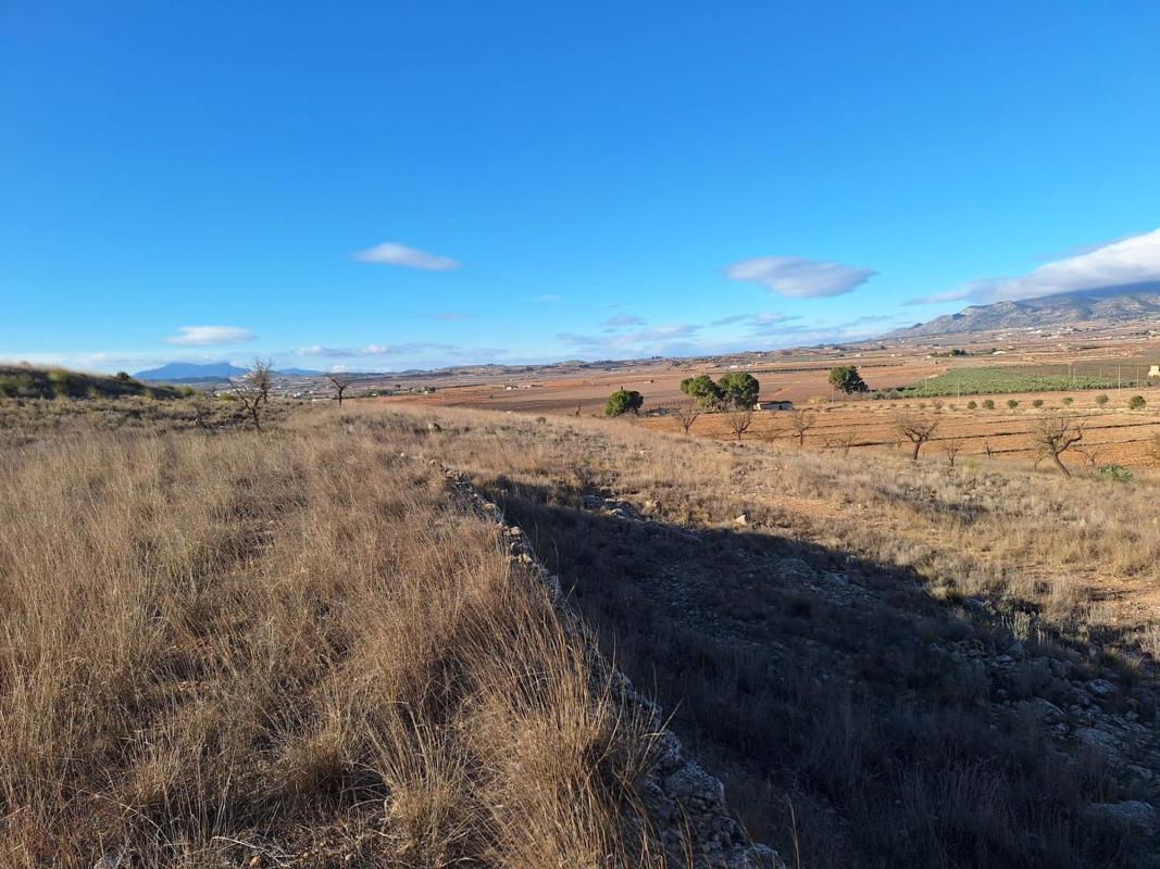 Terreno en venta en Pinoso, Alicante photo 5