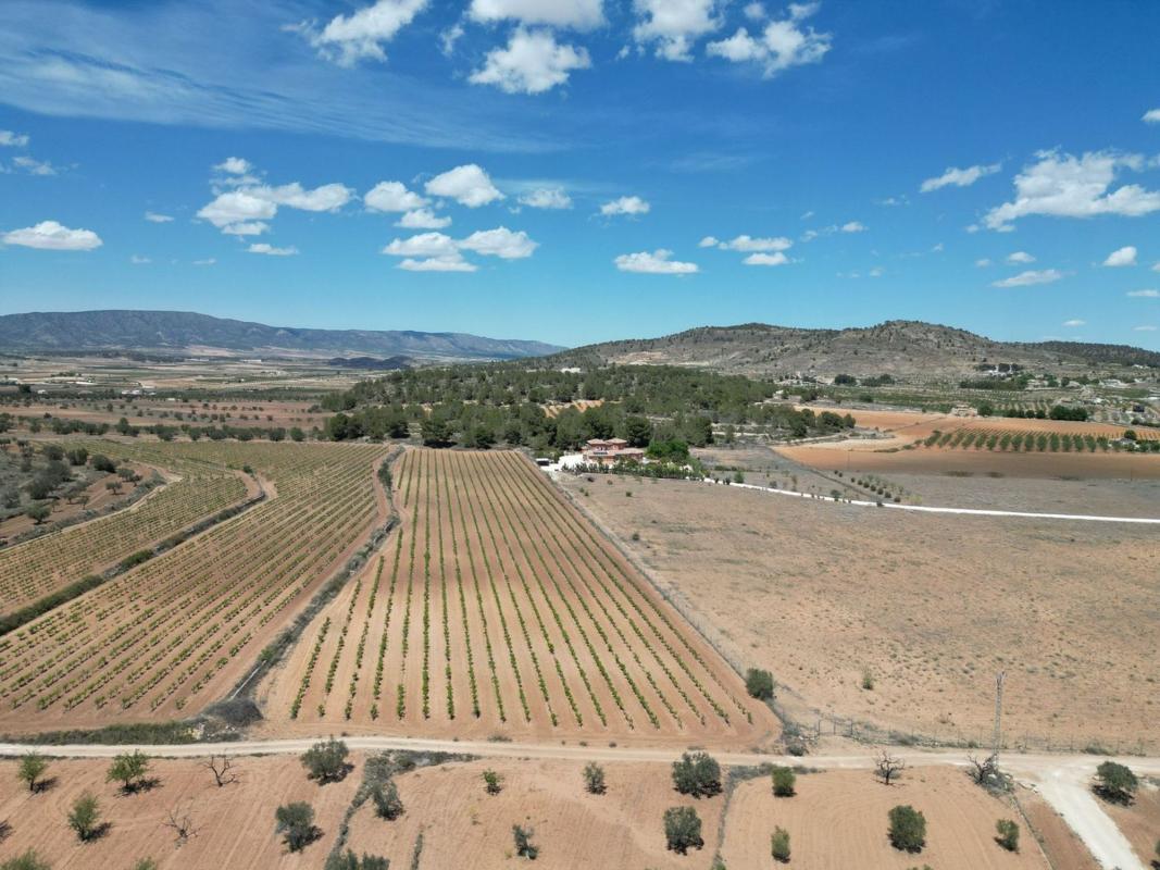 Terreno en venta en Pinoso, Alicante photo 2