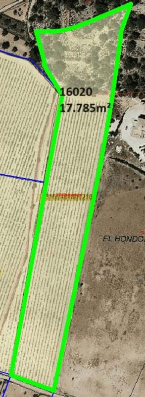 Terreno en venta en Pinoso, Alicante photo 3