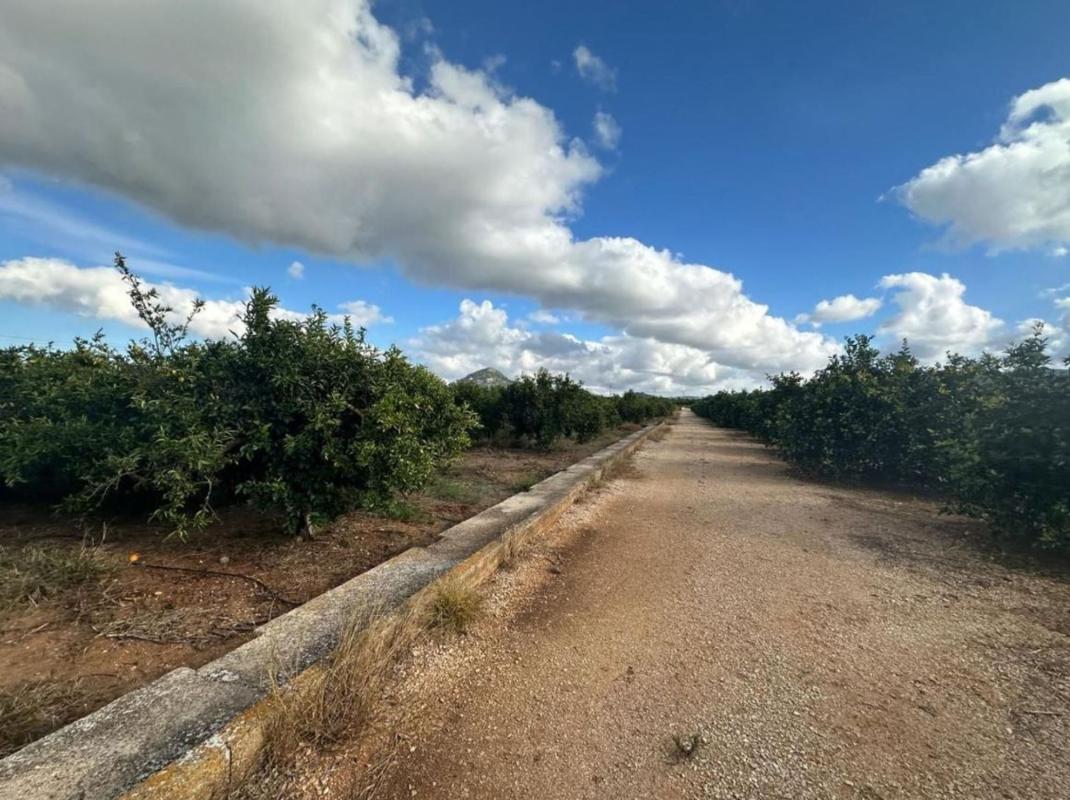 Terreno en venta en Ondara, Alicante photo 1