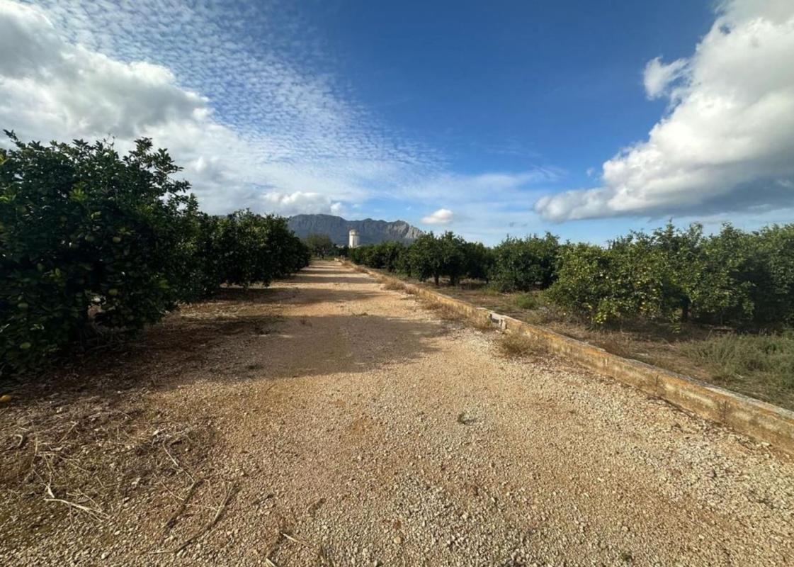 Terreno en venta en Ondara, Alicante photo 3