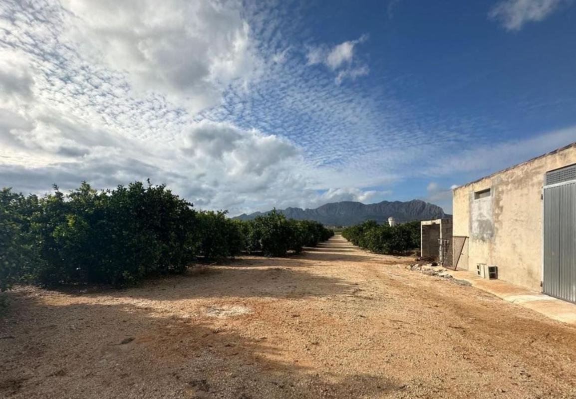 Terreno en venta en Ondara, Alicante photo 4