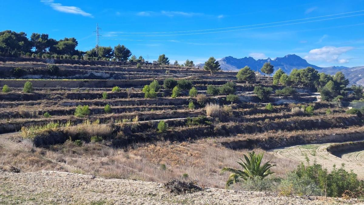Terreno en venta en Benissa, Alicante photo 3