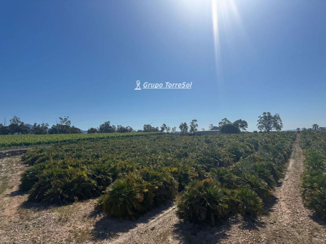 Terreno en venta en Monforte del Cid, Alicante photo 2
