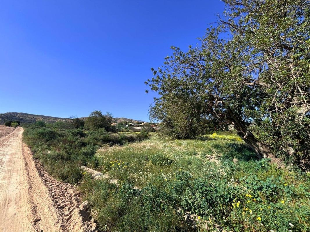 Terreno en venta en Moralet, Alicante photo 1