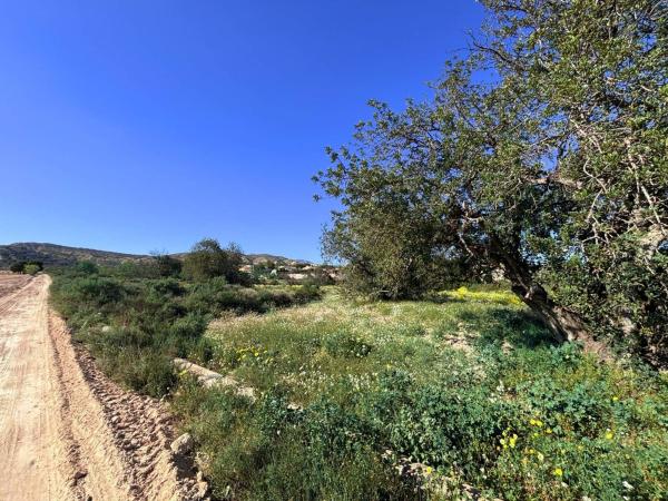 Terreno en Moralet photo