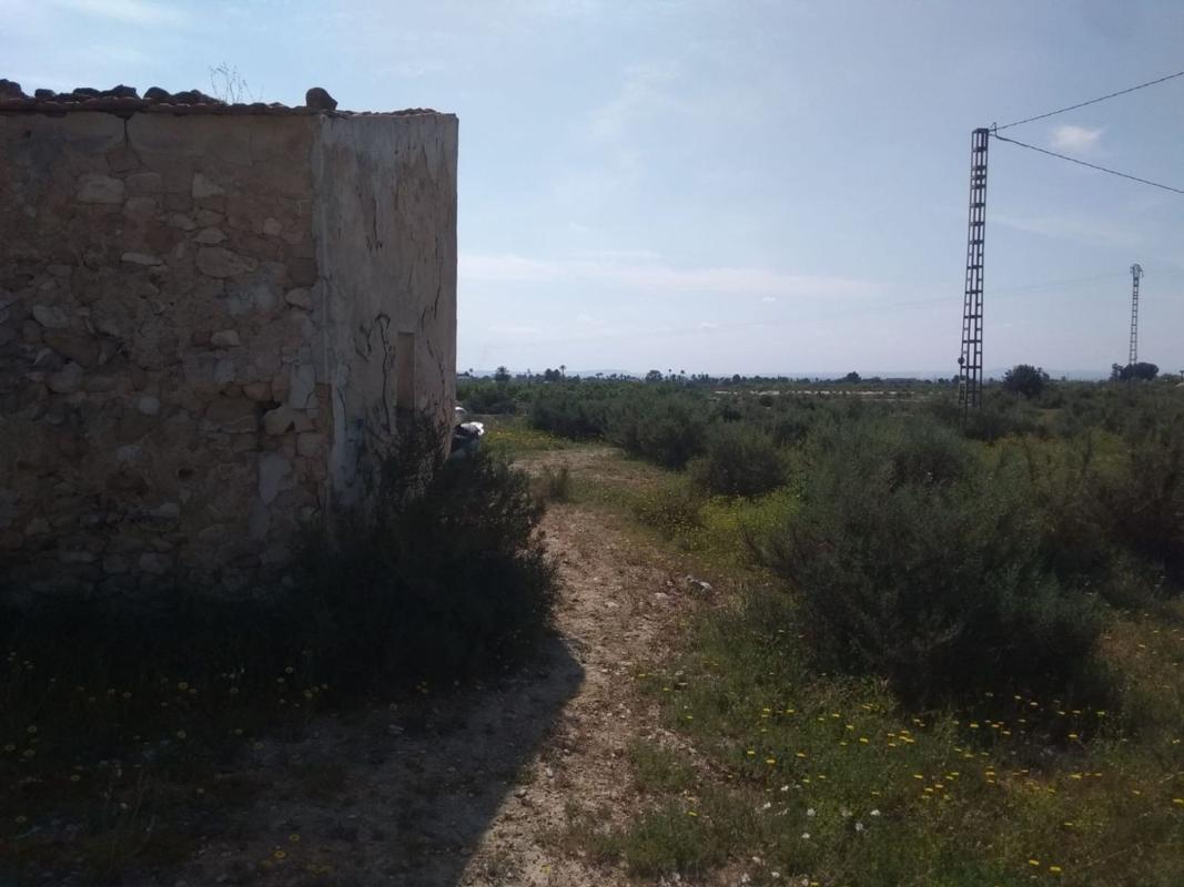 Terreno en venta en Elche / Elx, Alicante photo 3