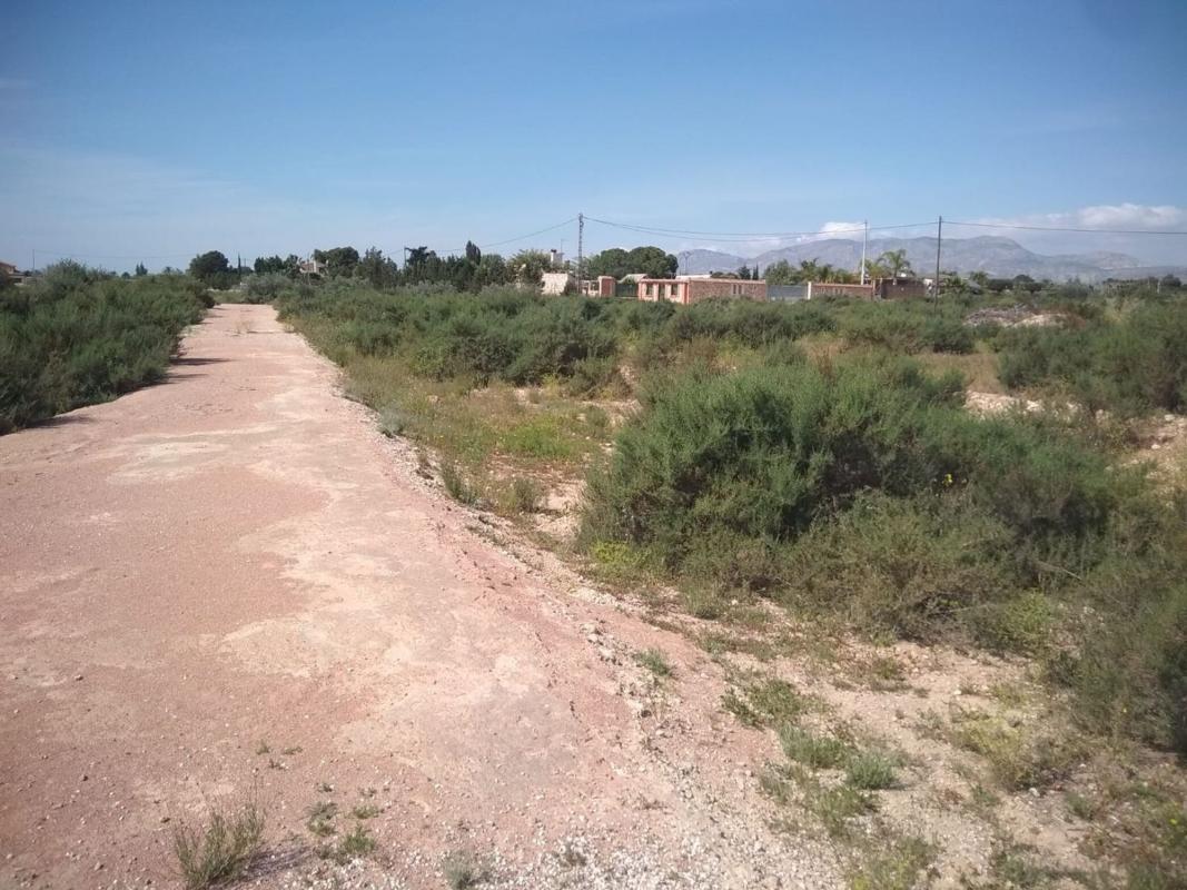 Terreno en venta en Elche / Elx, Alicante photo 4