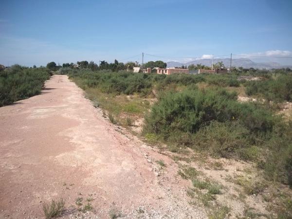Terreno en elche-matola, 15 polp, Algoda-Matola-Llano de San José, Elche / Elx photo 4