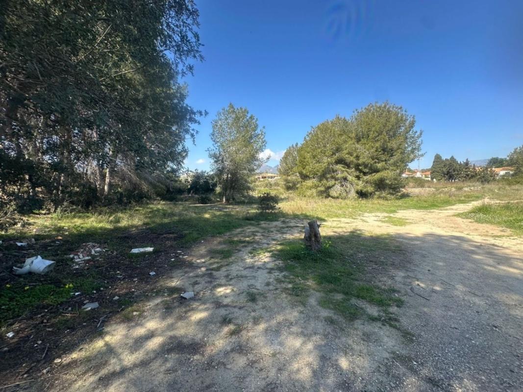 Terreno en venta en Alfaz del Pi, Alicante photo 2