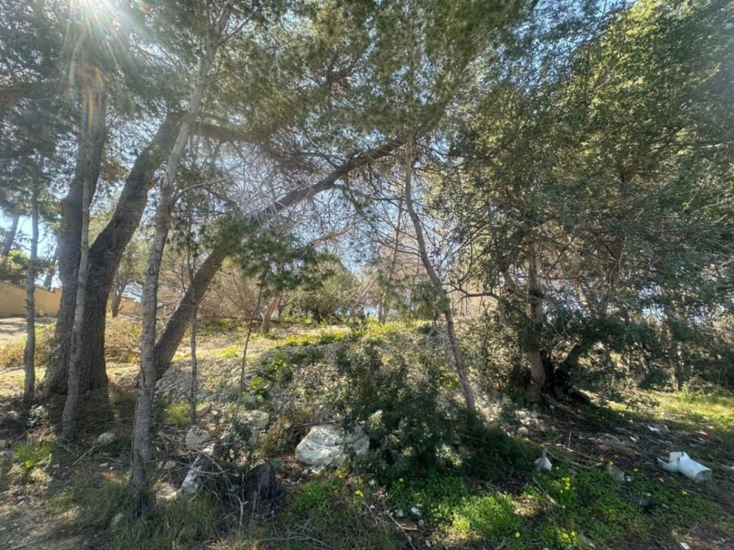 Terreno en venta en Alfaz del Pi, Alicante photo 3