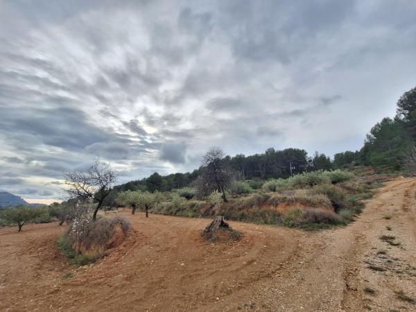 Terreno en Castalla photo 1