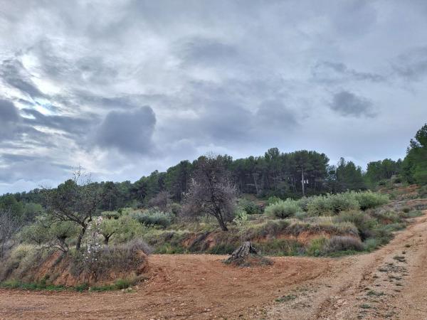 Terreno en Castalla thumbnail 1