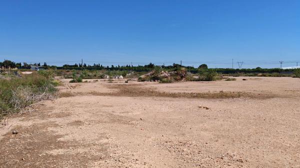 Terreno en Diseminado Poligono 8, Pinar de Campoverde, Pilar de la Horadada photo 1
