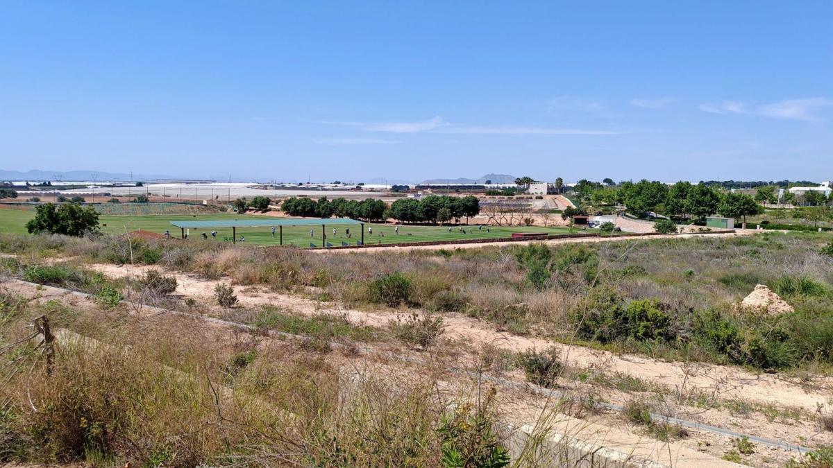 Terreno en venta en Pilar de la Horadada, Alicante photo 4