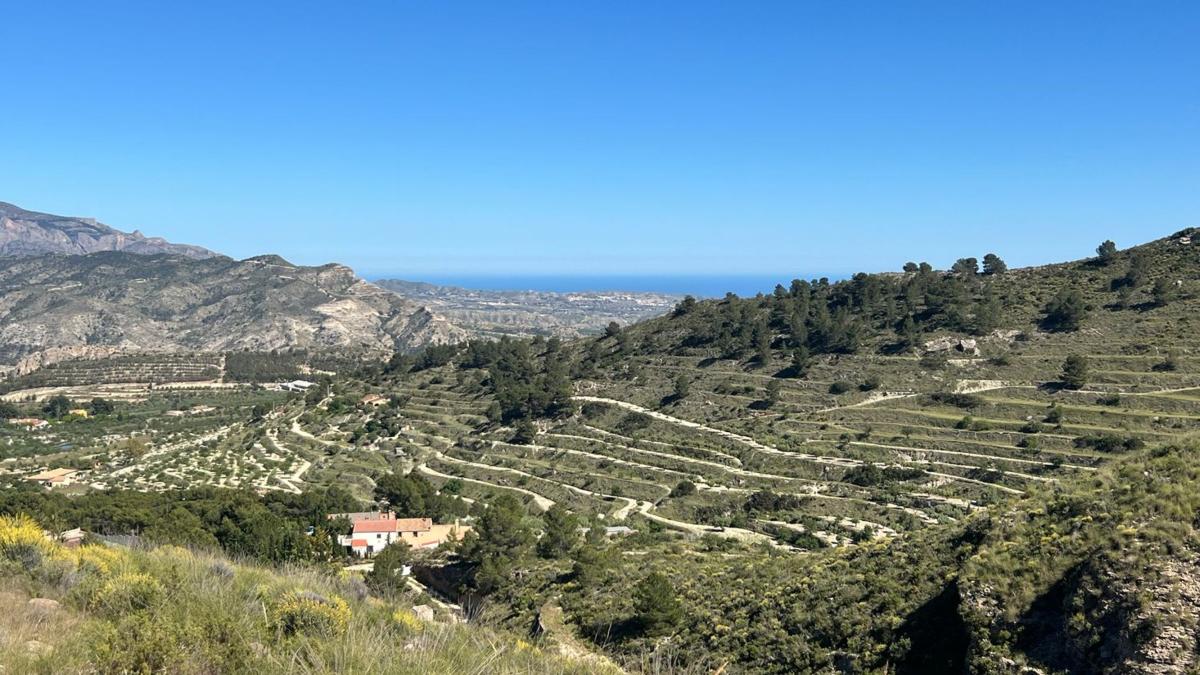 Terreno en venta en Jijona / Xixona, Alicante photo 1